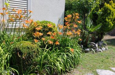 Holiday Home Kamenice - Photo 3