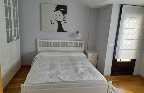 Apto Usarena Ezcaray - Foto 5