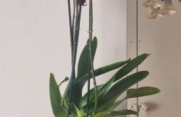 Sleep over at Ana's with shared bathroom - Foto 9