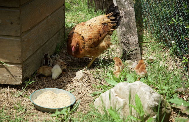 Apartment in Todi With Pool and Garden - Foto 16
