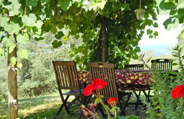 Podere le Muricce - Foto 32