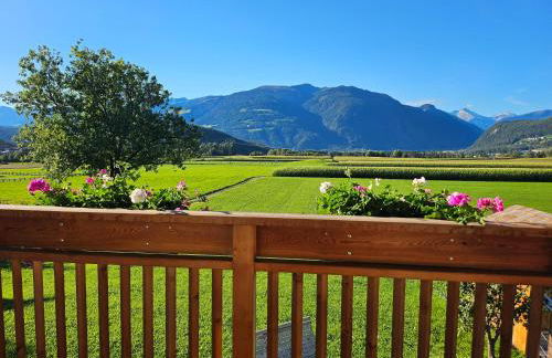 Krebslechnerhof - Foto 74