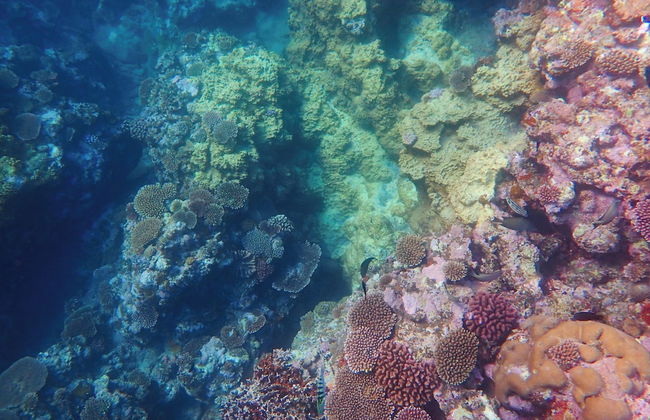 Blue Ocean Resort - Foto 32