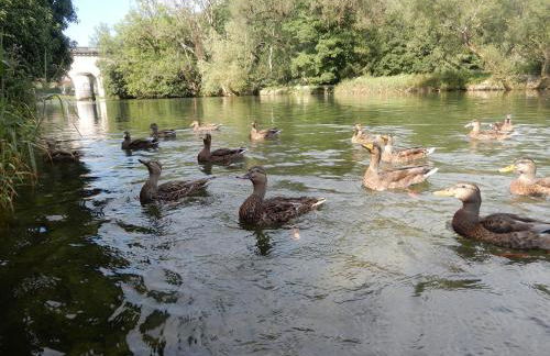 Superbe logement "Loulaloue" ! - Foto 23