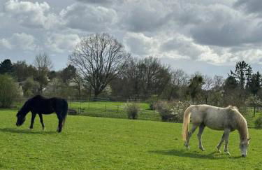große und luxuriöse Ferienwohnung für max 8 Gäste - Foto 56