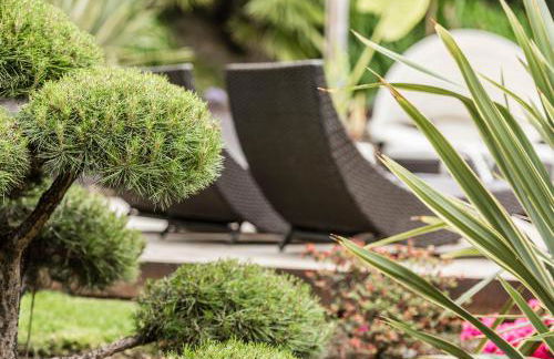 Residence Fischerhof - Foto 15