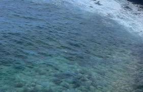 Apartamentos La Fajana - Foto 13