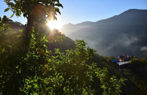 Obergostnerhof - Photo 9