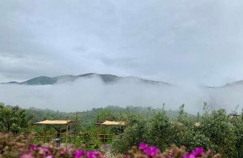 Agriturismo La Terrazza su Farfa - Foto 36