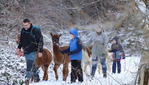 Schauerhof - Photo 5