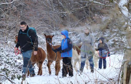 Schauerhof - Photo 5