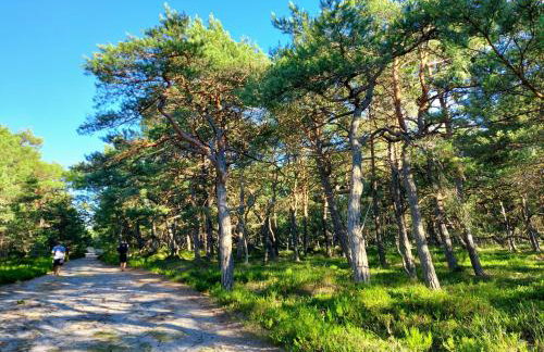 Greyówka dom kryty strzechą w Gardna Park - Foto 26