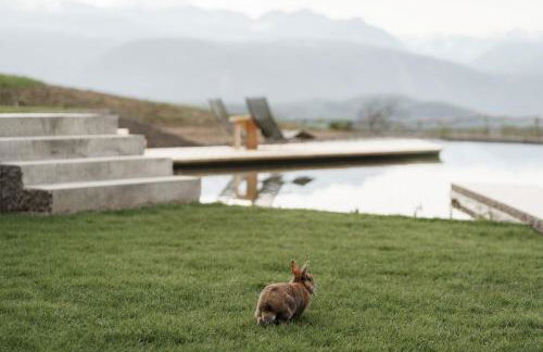 Nikolausberg - Hof im Garten - Foto 19
