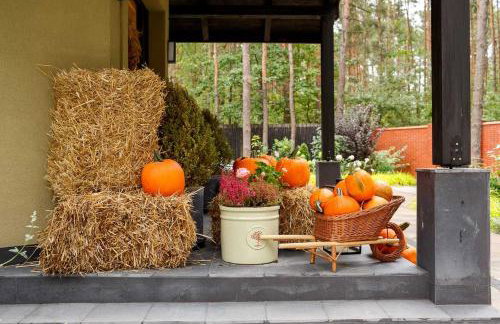 Villa Aleksandrow SPA - Foto 8