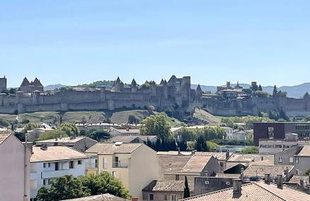 Appartement cosy avec vue imprenable sur la cité - Foto 2