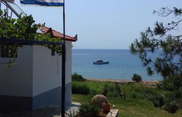 Margarita House - Photo 38