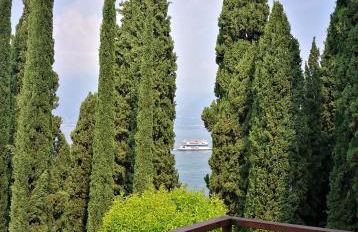 Bellavista Eremitaggio - Foto 53