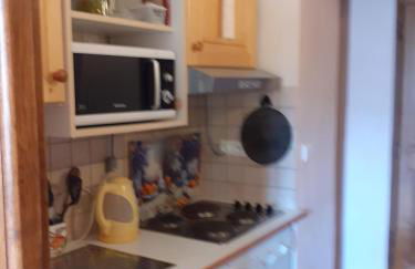 appartement gentiane 4personnes dans gite "la maison d'augustin" classé 3 étoiles,la tour,73530 st jean d'arves - Foto 49