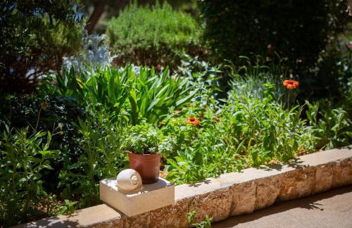 Apartments Silvana - Foto 60