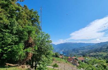 Moradia no Gerês - O Africanista - Foto 5