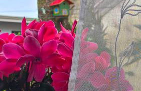 Leona's paradise - Photo 52