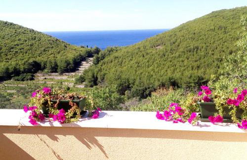 Holiday apartments Maslina Paho - Foto 2