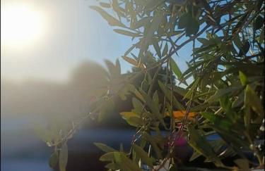 Studio mi casa es su casa - Photo 18