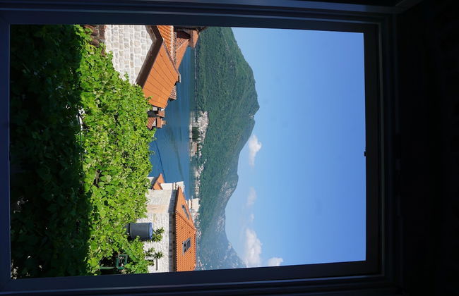 Guesthouse Dragutinovic - Foto 12