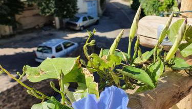 L'Exquishette de Lourmarin, un nid sur les toits. - Foto 5