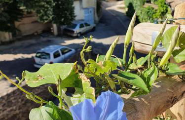 L'Exquishette de Lourmarin, un nid sur les toits. - Foto 5