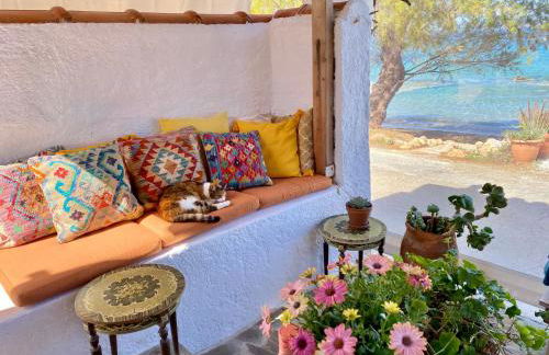 The Beachhouse Apartments - Foto 5