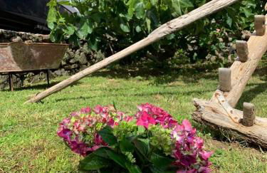 Portas do Ilhéu - Foto 41