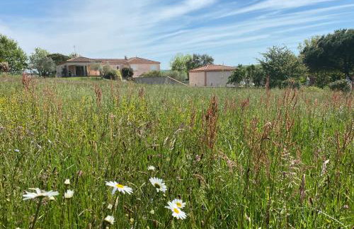 Gîte du Mercadal Les Pujols - Foto 43