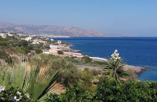 Sun Day Villa - Foto 36