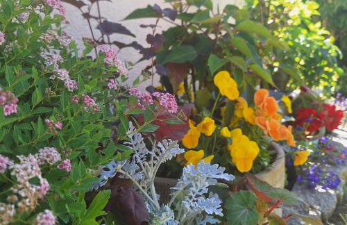 Sielanka Wydmy i Las - Foto 56