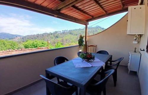 Casa panoramica sulle colline di Viareggio - Foto 32