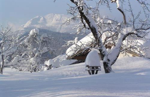 Haus Schmiederer - Foto 4