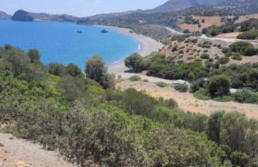 Villa Thea - Photo 69