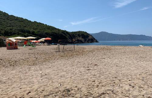 Les Asphodèles - Foto 12