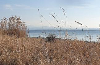 BodenseeLodge mit traumhafter Aussicht am See - Foto 20