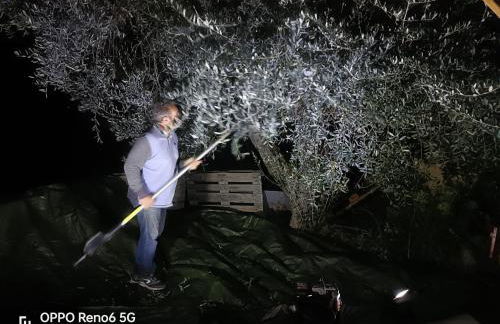 Agriturismo Monaci Templari - Foto 109