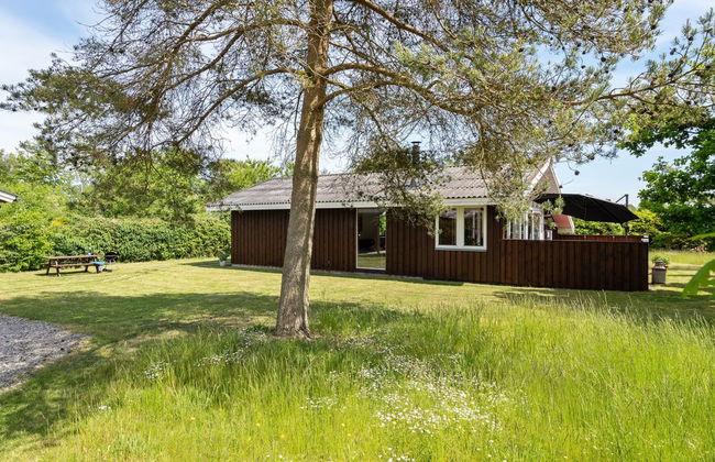 "Soraya" - 700m to the fjord - Foto 8