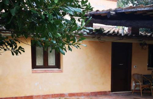 Tenuta Conte Ruggero - Foto 60