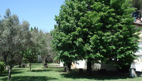 Villa Les Oliviers - Foto 5, Garden, Garden view
