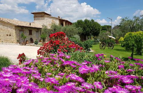 Agriturismo Arcobaleno della Torretta - Foto 48