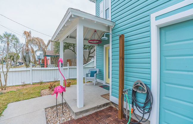 The Blue Flamingo - Foto 52