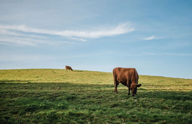 Posada Somavilla - Foto 29