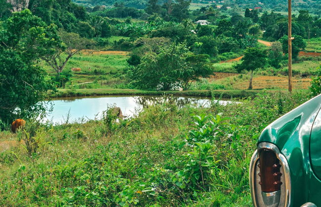 Excursão privada ao Valle de Viñales de carro clássico - Foto 1
