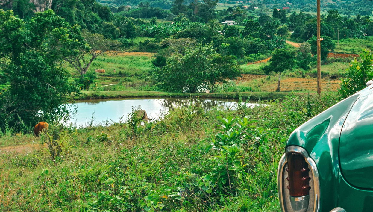 Excursion privée dans la Vallée de Viñales en voiture d'époque