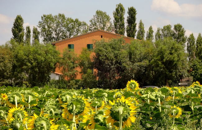 Agriturismo Pinzale - Foto 35